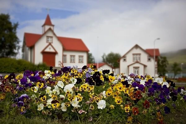 Iceland, Akureyri. Pansies in front of a church