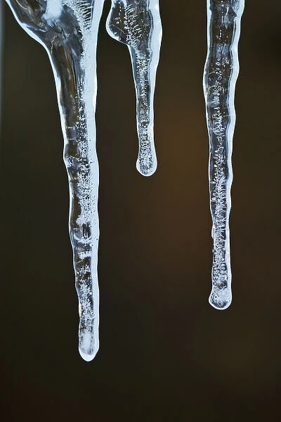 Icicle, Great Smoky Mountains National Park, Tennessee
