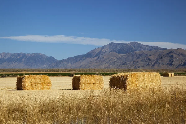 ID, Butte County, Hay bales