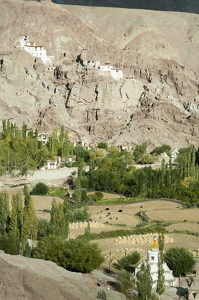India, Ladakh, Basgo, Basgo Gompa (Monastery)