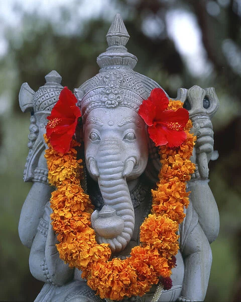 Idol of Lord Ganesh kept in gaily decorated frame of colourful flowers  elephant headed god ;..., Stock Photo, Picture And Rights Managed Image.  Pic. DPA-NMK-153091 | agefotostock
