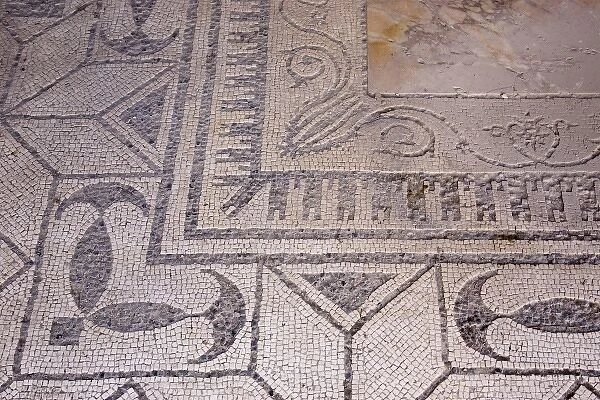 Italy, Campania, Herculaneum. Mosaic floor designs uncovered from excavated ruins