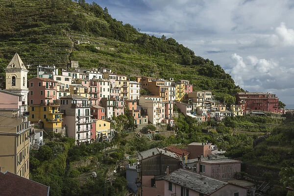 Italy, Cinque Terre, Manarola. View of Manarolas houses amidst the steep hillsides