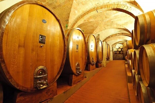 Italy, Tuscany, Greve. The wine cellar in at Castello di Gabbiano