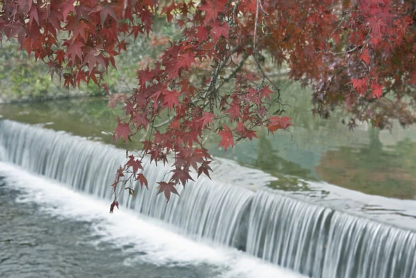 Japan, Kyoto, Arashiyama, Maple Leaves and Waterfall