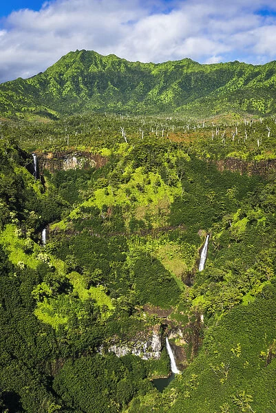 Kahili Falls, Hanapepe Valley, Kauai, Hawaii, USA