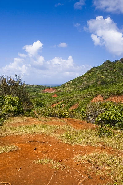 Kauai, Hawaii, USA. The Ha upu mountain range is in the background of this location