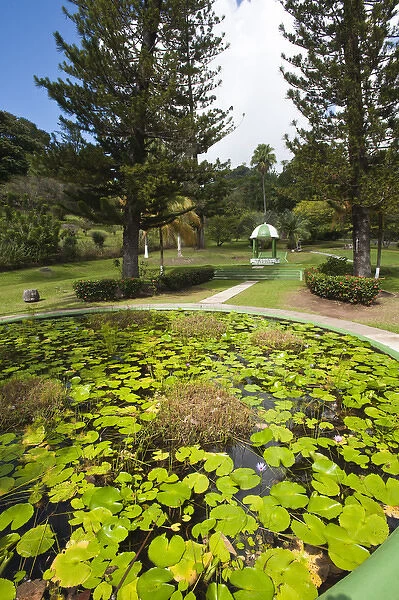 Kingstown Botanical gardens, St. Vincent & The Grenadines