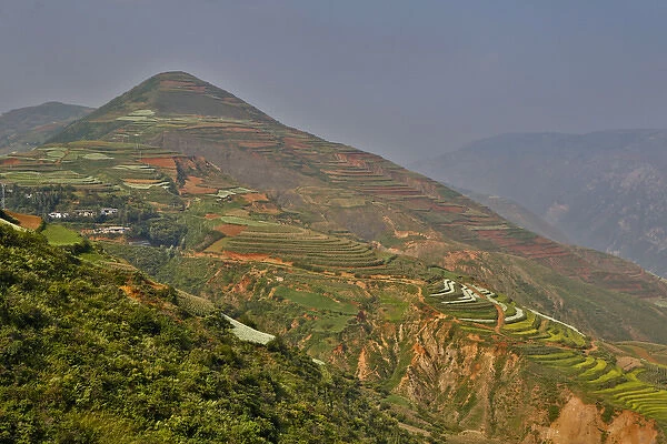 Kunming Dongchuan Red Land, China with crops in the red soil canola, corn