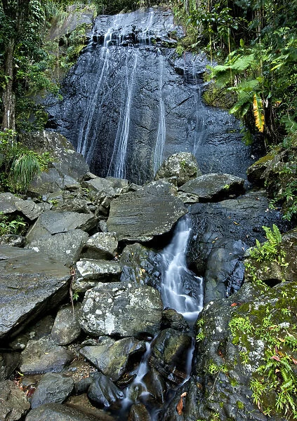 La Coca waterfall, El Yunque NF. Puerto Rico