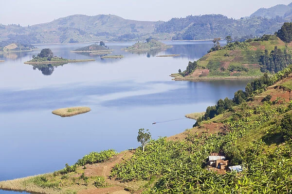 Lake Mutanda near Kisoro in Uganda. On the shoreline the land is cultivated, very