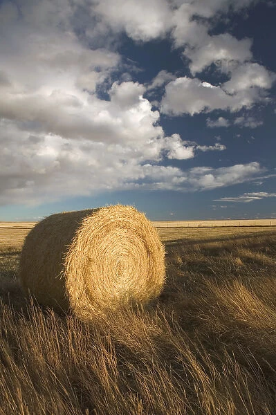 02. Canada, Alberta, Stand Off: Landscape with Dramatic Sky & Hay Roll