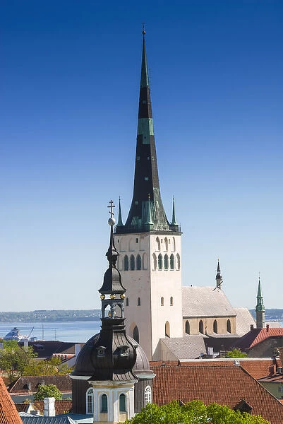 Medieval town walls and spire of St. Olav church, view of Tallinn from Toompea hill