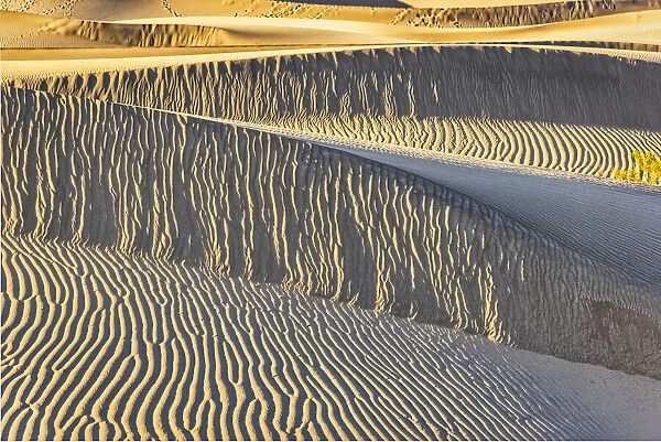Mesquite Dunes, Death Valley National Park, California