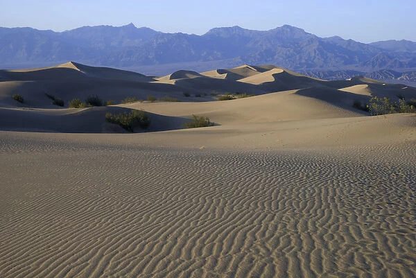 Mesquite Flats Sand Dunes, Death Valley National Park, California, US