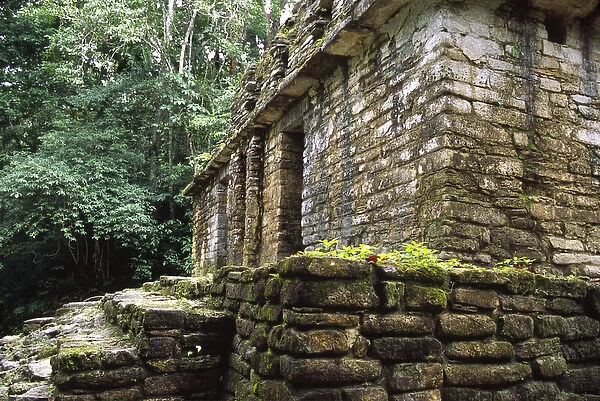 06. Mexico, Chiapas, Ocosingo, Yaxchilan Mayan Ruins