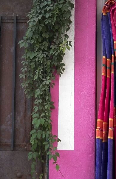 Mexico, Puerto Vallarta. Serape hanging next to colorful wall and hanging plant
