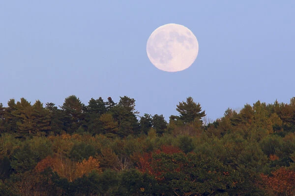 Full Moon over Bath, Bath, Maine, USA, full moon, fall colors, astronomy