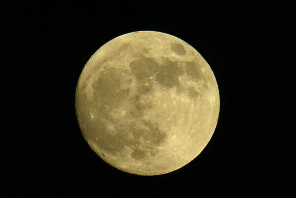 Full moon with yellowish hue. Credit as: Arthur Morris  /  Jaynes Gallery  /  Danita Delimont