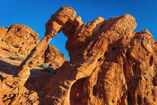 Morning light on Elephant Rock, Valley of Fire State Park, Nevada, USA