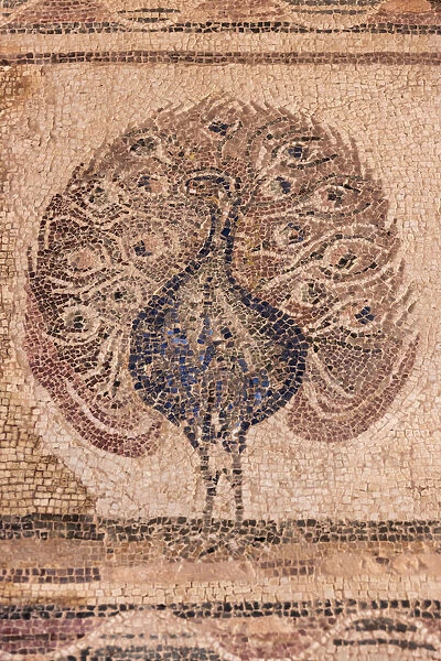 Mosaic painting in the Archaeological Park, Paphos (Pafos), Republic of Cyprus