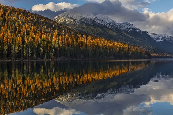 Mountain peaks reflect into Bowman Lake in autumn in Glacier National Park, Montana, USA