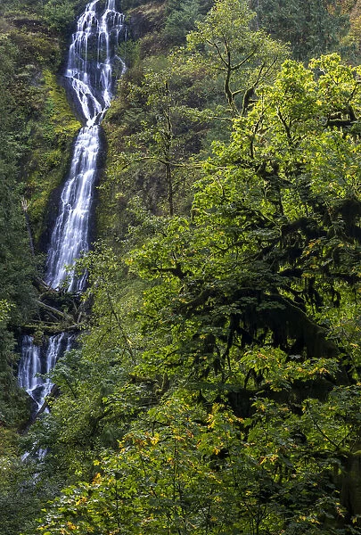 Munson Creek Falls near Tillamook, Oregon, USA