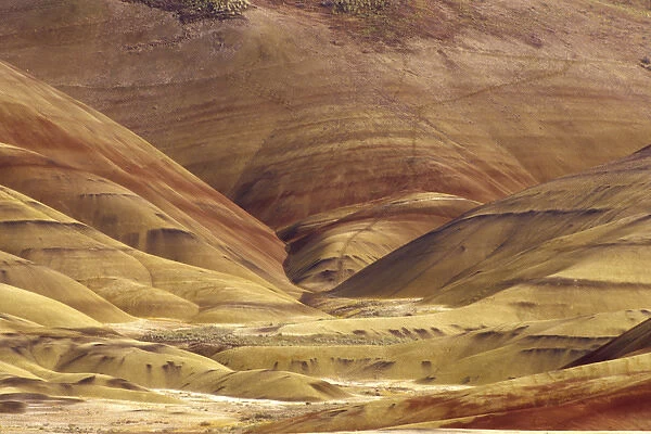 N. A. USA, Oregon, John Day Fossil Beds National Monument. Painted Hills