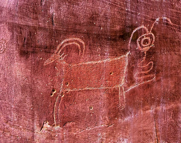 Native American Indian Fremont Sheep Goat Petroglyph Sandstone Mountain Capitol Reef