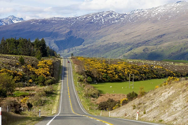 New Zealand, South Island, scenic highway