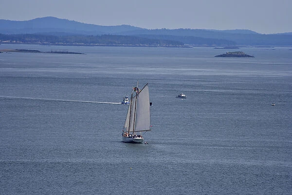 North America, Canada, New Brunswick. A sailboat viewed from Campobello Island