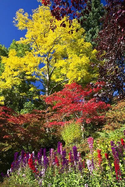 North America; Canada; Victoria; Burchard Gardens; Autumn Color at Butchard Gardens