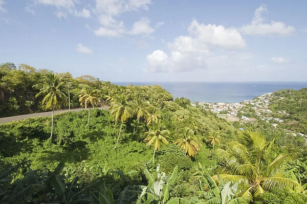 North America, Caribbean, St. Lucia, Soufriere. Lush greenery, banana plantations
