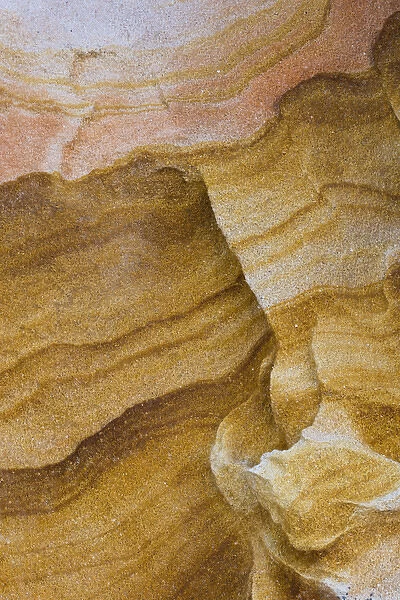 North America, USA, Arizona. Pastel abstract designs in sandstone rocks at Vermillion