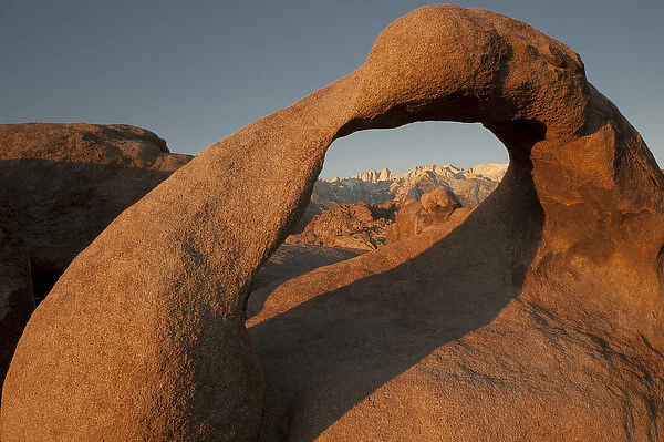 North America, USA, California, Alabama Hills Recreation Area. Mobius Arch with Mt Whitney