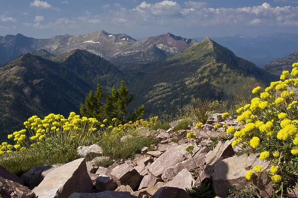 North America, USA, Montana, Rocky Mountains, Bob Marshall Wilderness, scenic view