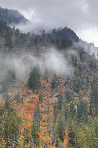 North America, USA, Washington, Leavenworth, Autumn Color in the Cascade Mountains