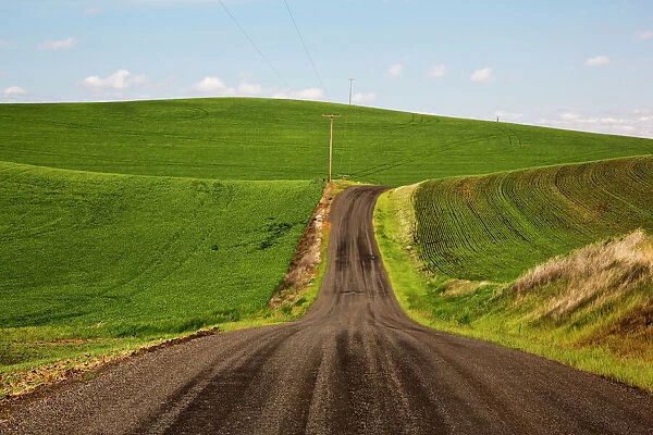 North Amnerica; USA Washington; Palouse Country; Back road through the Wheat fields