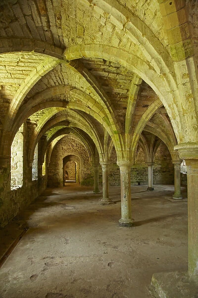 The Novices Room, Battle Abbey, Battle, East Sussex, England, United Kingdom