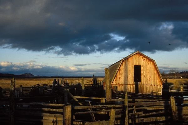 old barn on a ranch on Kodiak Island, Alaska