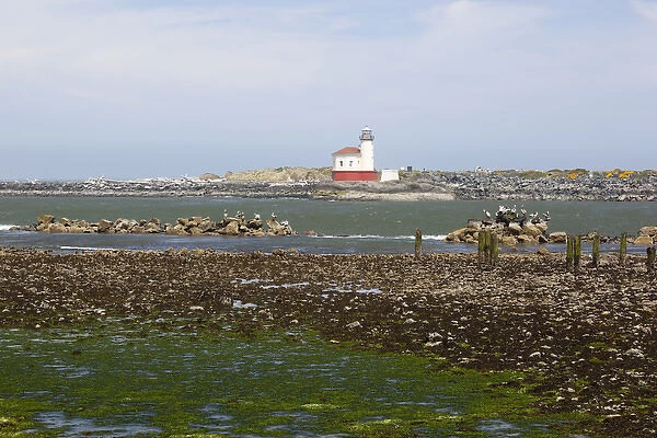 OR, Oregon Coast, Bandon, Coquille River lighthouse, built in 1896, last lighthouse