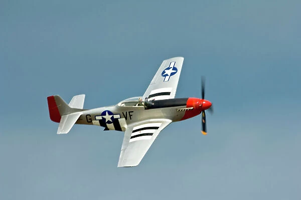 P-51D Mustang Fighter with D-Day markings flying in the sky