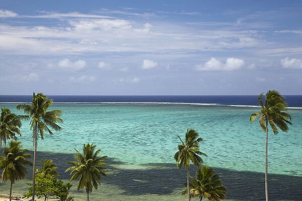 Palm trees and coral reef, Crusoes Retreat, Coral Coast, Viti Levu, Fiji, South