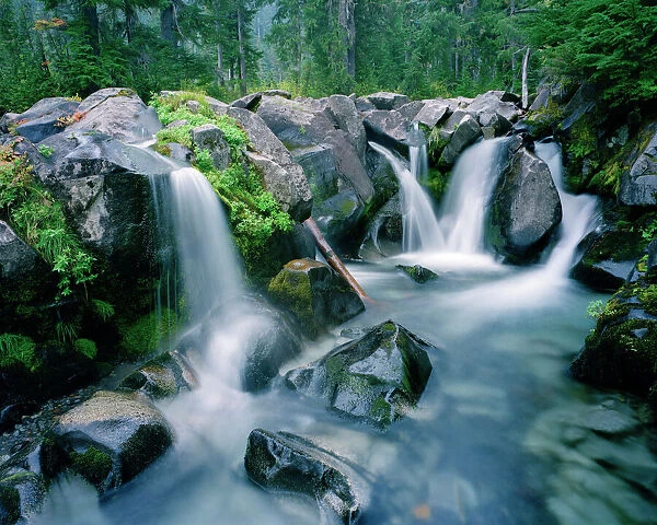 Paradise Creek flows down slopes of Mount Rainier, Washington, USA