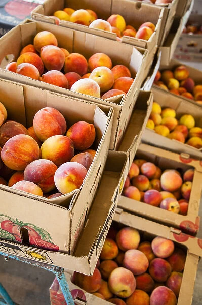 Peaches on display in Farmers Market
