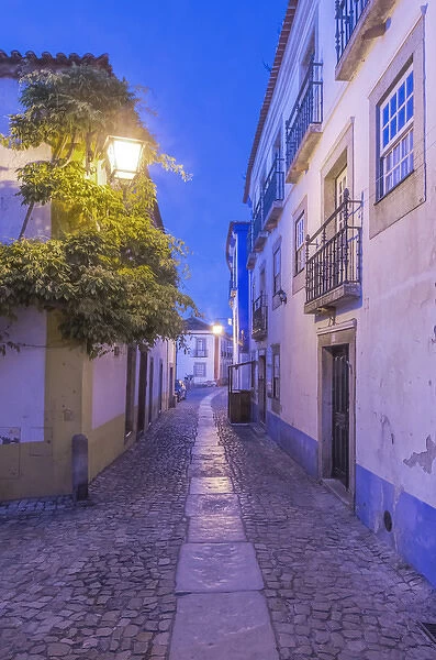 Portugal, Obidos, Cobblestone Street in the Historic Cente at Dawn