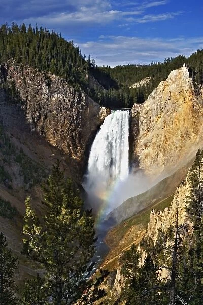 Rainbow on Lower Yellowstone Falls, Yellowstone National Park, Wyoming  /  Montana