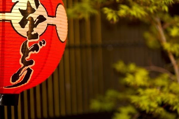 Red painted paper lantern and tree, Kyoto, Honshu island, Japan