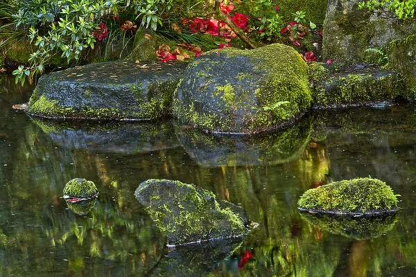 reflections, pond, natural garden, Portland Japanese Garden, Portland, USA