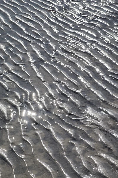 Ripples in the sand, Beach at Honeymoon Island State Park, Dunedin, Florida, USA